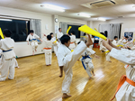 CB395CE3-4A62-4F88-B4A5-8C20524B8388.jpg